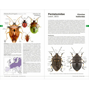 CHINCHES PENTATOMORFAS DE LA PENÍNSULA IBÉRICA 3
