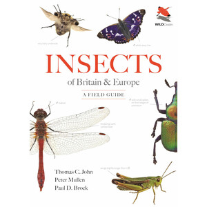 INSECTS OF BRITAIN AND EUROPE: A FIELD GUIDE