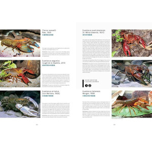 CRAYFISH OF THE WORLD_1