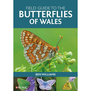FIELD GUIDE TO THE BUTTERFLIES OF WALES
