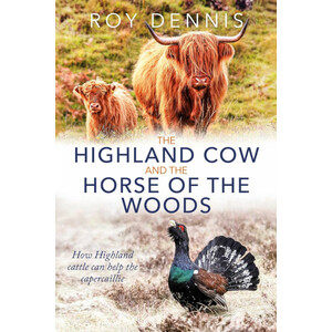 HIGHLAND COW AND THE HORSE OF THE WOODS. HOW HIGHLAND CATTLE CAN HELP SAVE THE CAPERCAILLIE