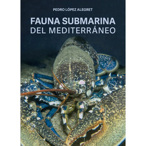 FAUNA SUBMARINA DEL MEDITERRÁNEO