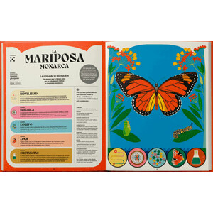 SUPERPODERES DE LOS INSECTOS_1