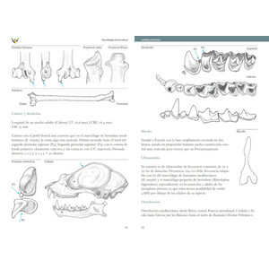 GUÍA DE MURCIÉLAGOS. PENÍNSULA IBÉRICA Y BALEARES 3