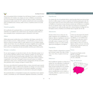 GUÍA DE MURCIÉLAGOS. PENÍNSULA IBÉRICA Y BALEARES 4