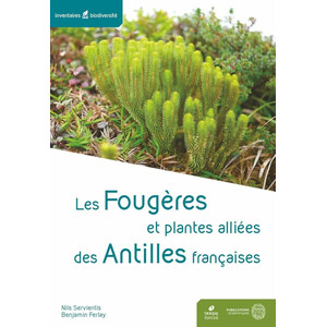 LES FOUGÈRES ET PLANTES ALLIÉES DES ANTILLES FRANÇAISES