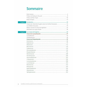 LES FOUGÈRES ET PLANTES ALLIÉES DES ANTILLES FRANÇAISES 3
