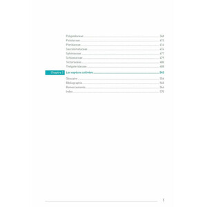 LES FOUGÈRES ET PLANTES ALLIÉES DES ANTILLES FRANÇAISES 4