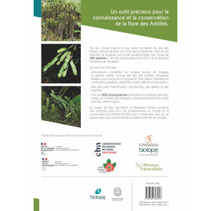 LES FOUGÈRES ET PLANTES ALLIÉES DES ANTILLES FRANÇAISES_1