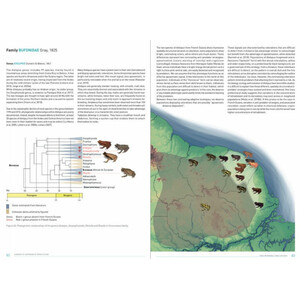 HANDBOOK OF AMPHIBIANS OF FRENCH GUIANA 3