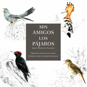 MIS AMIGOS LOS PÁJAROS