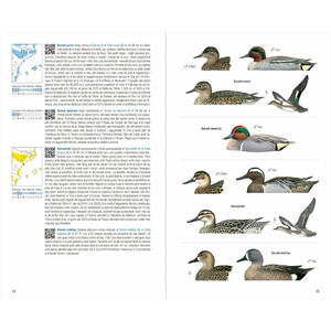 OCELLS DE CATALUNYA, PAÍS VALENCIÀ I BALEARS. 4A EDICIÓ_1