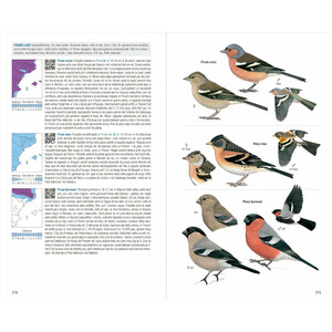 OCELLS DE CATALUNYA, PAÍS VALENCIÀ I BALEARS. 4A EDICIÓ 4