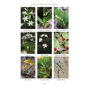 CATÁLOGO FLORÍSTICO DE LA PROVINCIA DE GUADALAJARA 4