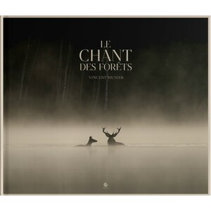 LE CHANT DES FORÊTS