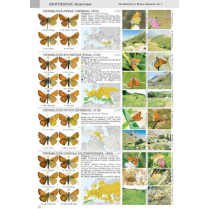 BUTTERFLIES OF THE WESTERN PALAEARCTIC. VOLUME 1: HESPERIIDAE, PAPILIONIDAE, PIERIDAE, LYCAENIDAE (PARTIM) 3
