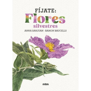 FÍJATE: FLORES SILVESTRES