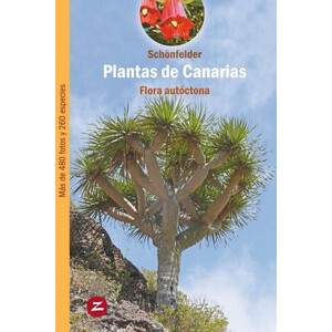 PLANTAS DE CANARIAS. FLORA AUTÓCTONA