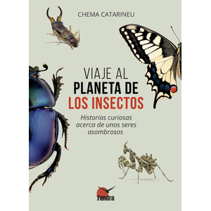 VIAJE AL PLANETA DE LOS INSECTOS. HISTORIAS CURIOSS ACERCA DE UNOS SERES ASOMBROSOS