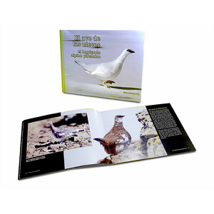 EL AVE DE LAS NIEVES: EL LAGÓPODO ALPINO PIRENAICO