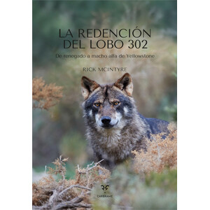 LA REDENCIÓN DEL LOBO 302: DE RENEGADO A MACHO ALFA DE YELLOWSTONE