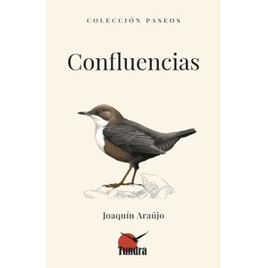 CONFLUENCIAS. COLECCIÓN PASEOS