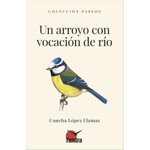 UN ARROYO CON VOCACIÓN DE RÍO. COLECCIÓN PASEOS