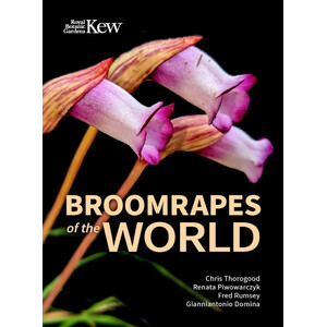 BROOMRAPES OF THE WORLD