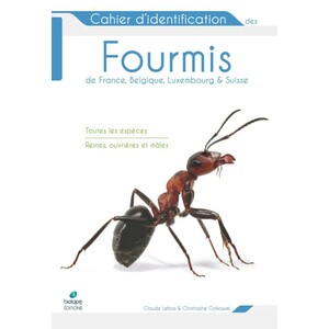 CHAIER D'IDENTIFICATION DES FOURMIS DE FRANCE, BELGIQUE, LUXEMBOURG ET SUISSE