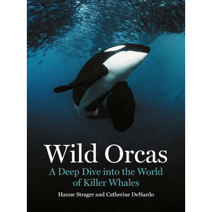 WILD ORCAS: A DEEP DIVE INTO THE WORLD OF KILLER WHALES