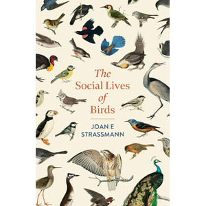 THE SOCIAL LIVES OF BIRDS. FLOCKS, COMMUNES AND FAMILIES