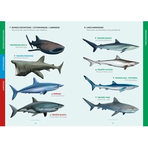 GUÍA DE LOS PECES COSTEROS DE EUROPA Y NORTE DE ÁFRICA_1