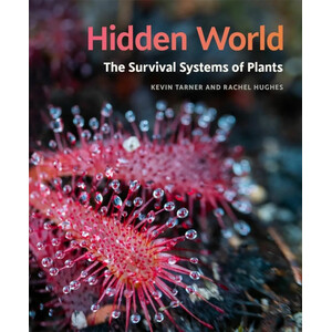 HIDDEN WORLD. THE SURVIVAL OF SYSTEMS OF PLANTS_1