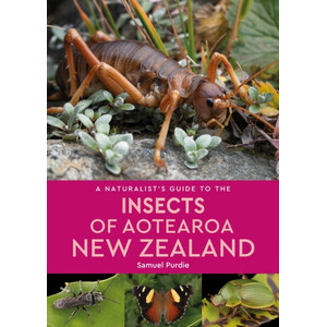 A NATURALIST'S GUIDE TO THE INSECTS OF ATEAROA, NEW ZEALAND