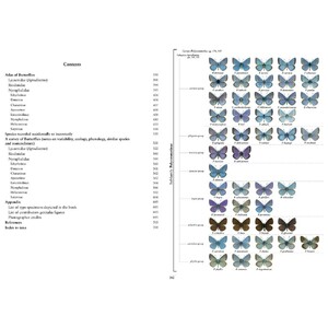 BUTTERFLIES OF THE WESTERN PALAEARCTIC. VOLUME 2: LYCENIDAE (AGRODIATEUS), RIODINIDAE, NYMPHALIDAE: LIBYTHEINAE, DANAINAE, CHARAXINAE, APATURINAE, LIM_1