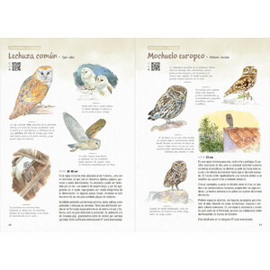 AVES. GUÍA DE INICIACIÓN A LA ORNITOLOGÍA 4
