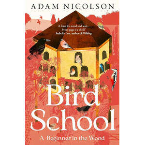 BIRD SCHOOL. A BEGINNER IN THE WOOD