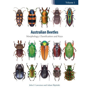 AUSTRALIAN BEETLES VOLUME 1: MORPHOLOGY, CLASSIFICATION AND KEYS