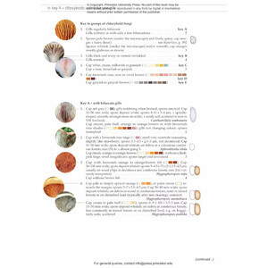 FUNGI OF TEMPERATE EUROPE: KEYS TO THE BASIDIOMYCETES 4