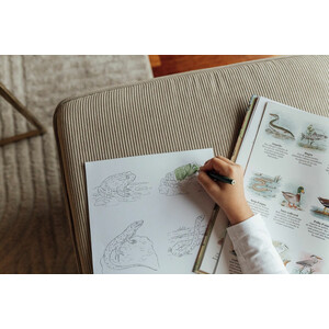 IL·LUSTRACIONS PER ACOLORIR - ILUSTRACIONES PARA COLOREAR. ATLES NATURAL DEL MONTSERRATÍ_1