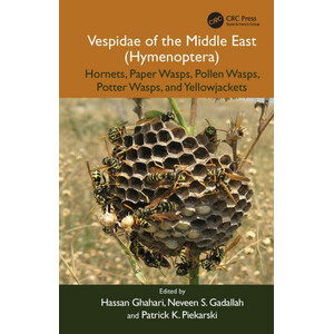 VESPIDAE OF THE MIDDLE EAST (HYMENOPTERA). HORNETS, PAPER WASPS, POLLEN WASPS, POTTER WASPS, AND YELLOWJACKETS