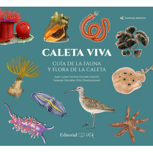 CALETA VIVA. GUIA DE LA FAUNA Y FLORA DE LA CALETA