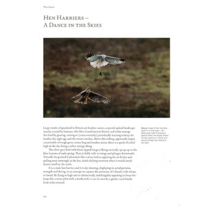 WILD ISLES_1