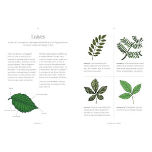 TREES: A POCKET GUIDE_1