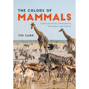 THE COLORS OF MAMMALS. LINKING EVOLUTION, DEVELOPEMENT, PERCEPTION AND CULTURE