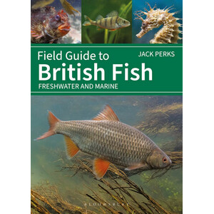 FIELD GUIDE TO BRITISH FISH. FRESHWATER AND MARINE