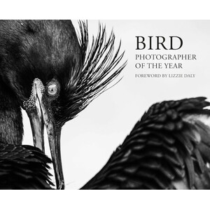 BIRD PHOTOGRAPHER OF THE YEAR. COLLECTION 11
