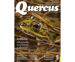 QUERCUS. OBSERVACIÓN, ESTUDIO Y DEFENSA DE LA NATURALEZA CUADERNO 414                                                                                 