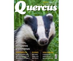 QUERCUS. OBSERVACIÓN, ESTUDIO Y DEFENSA DE LA NATURALEZA CUADERNO 416                           