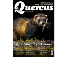 QUERCUS. OBSERVACIÓN, ESTUDIO Y DEFENSA DE LA NATURALEZA CUADERNO 420